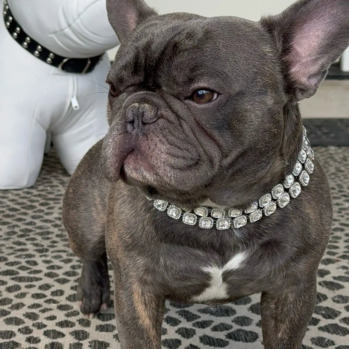 Bedazzle Bowwow Pet Bling Dog Collar