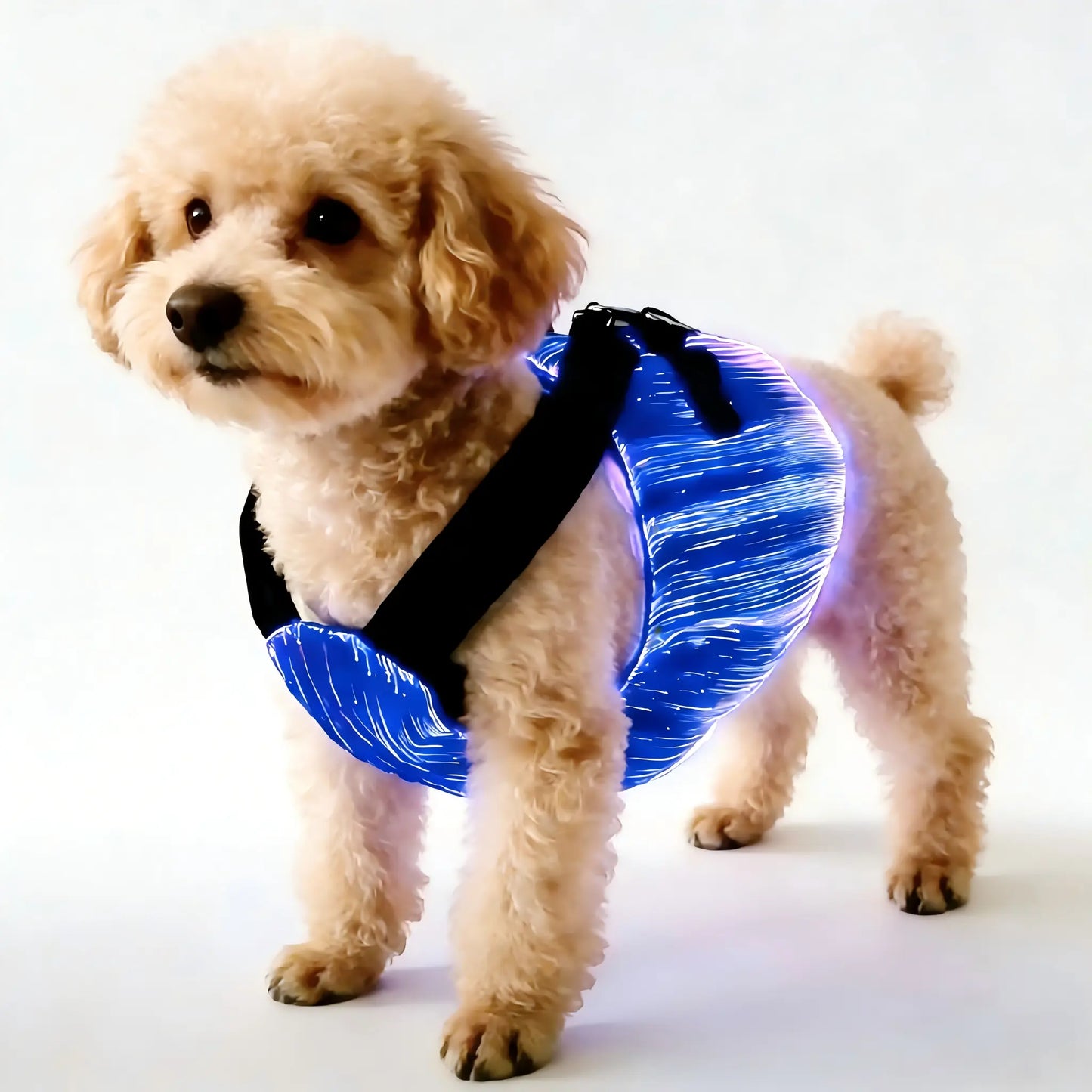 Dog & Cat LED Light-Up Coat - Party Outfits Design for Outdoor Use, Safety & Enhanced Visibility