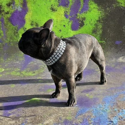 Bedazzle Bowwow Pet Bling Dog Collar