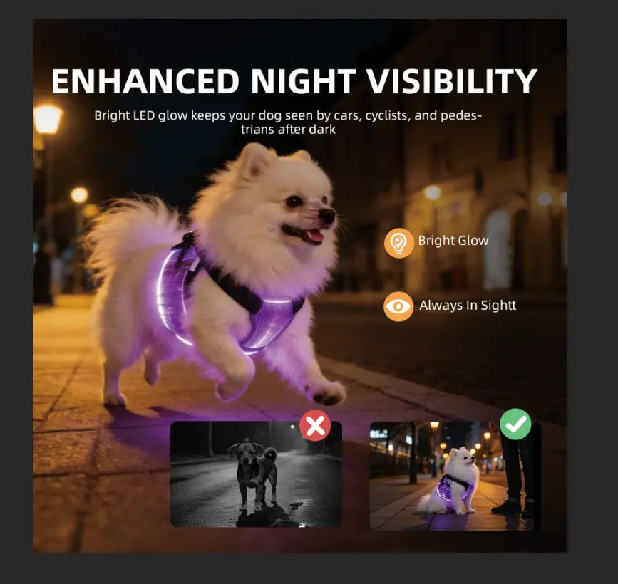 Dog & Cat LED Light-Up Coat - Party Outfits Design for Outdoor Use, Safety & Enhanced Visibility