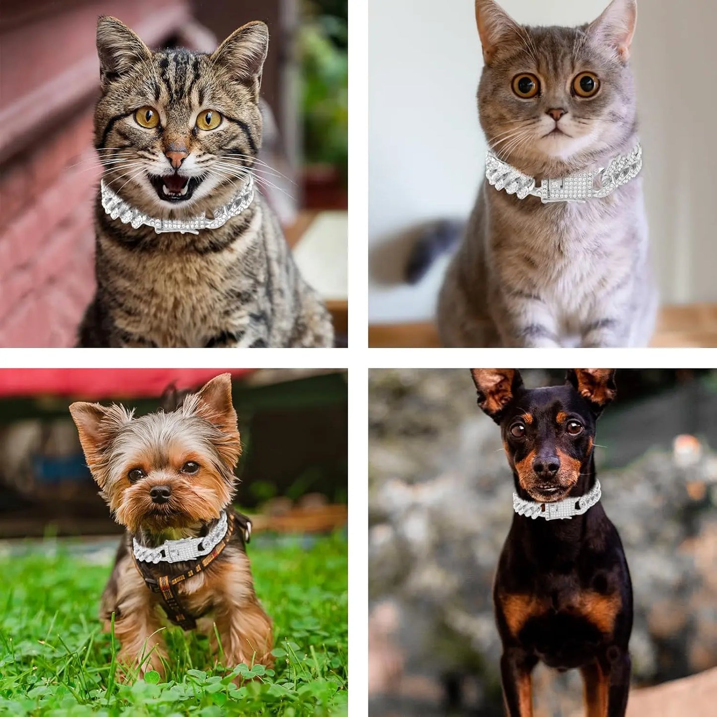 Cat Chain Collar, Diamond Cuban Link Kitten Walking Collar with Secure Buckle 12Mm Wide Pet Rhinestones Necklace Metal Chain Accessories for Cats Dogs Kittens Puppies 8Inch