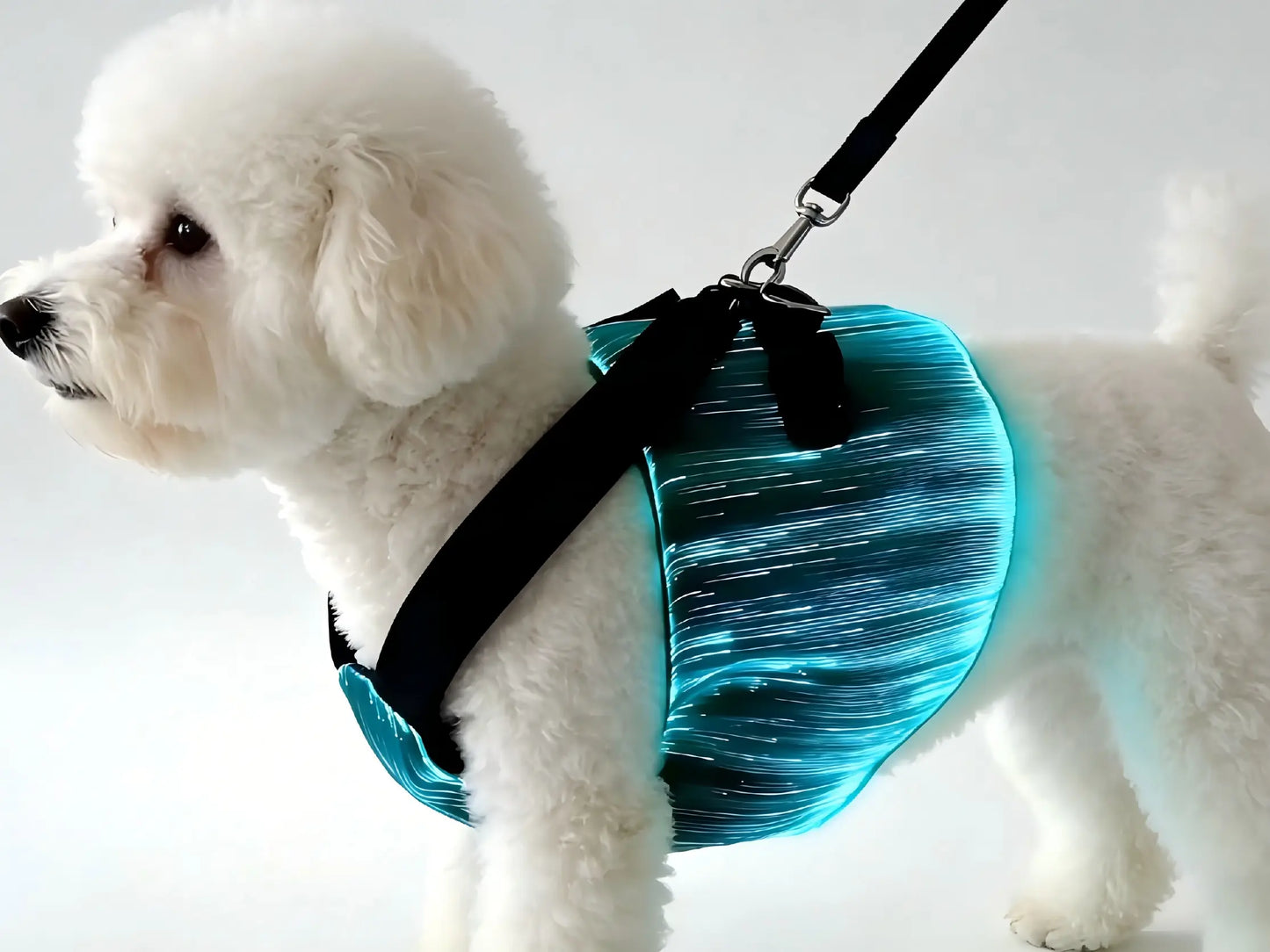 Dog & Cat LED Light-Up Coat - Party Outfits Design for Outdoor Use, Safety & Enhanced Visibility