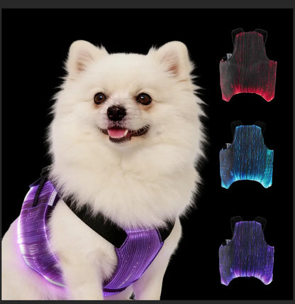 Dog & Cat LED Light-Up Coat - Party Outfits Design for Outdoor Use, Safety & Enhanced Visibility