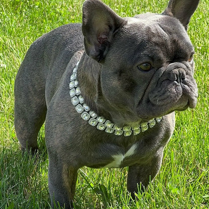 Bedazzle Bowwow Pet Bling Dog Collar